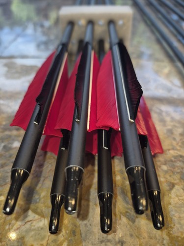 Archery carbon arrows - archery,