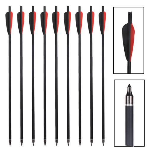 12x 20inch carbon bolts - 12x,